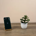 Apple iPhone 13 128gb Green